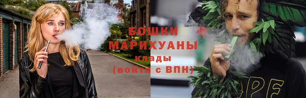 гидра Приозерск