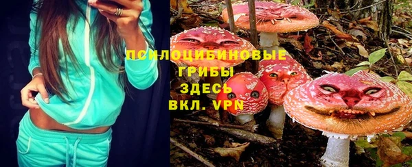 гидра Приозерск