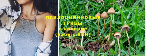 трава Пролетарск