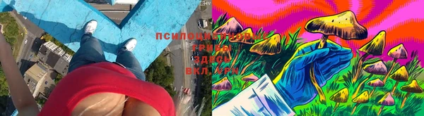 гидра Приозерск