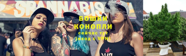 гидра Приозерск